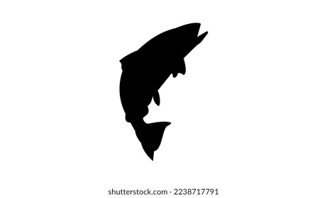 Salmonidae silhouette high quality vector