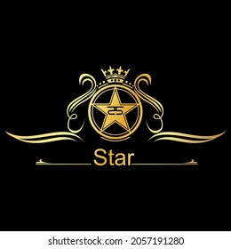 Salon logo design based on star
   