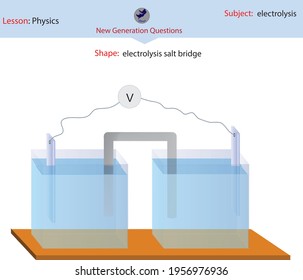 salt bridges electrochemical batteries electrodes electrolytic