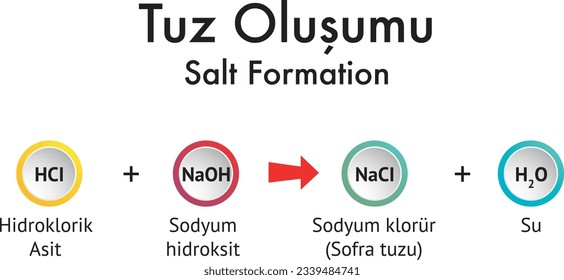 Salt formation, Chemistry, Chemistry Lesson, Hydrochloric Acid, Sodium Hydroxide, Sodium Chloride, Table Salt, Water, Tuz Oluşumu, Kimya Formülleri, Formül