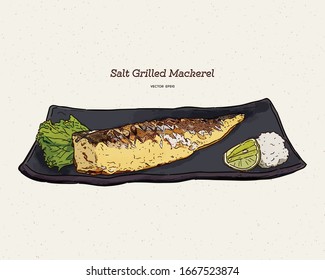 Salt Grilled Mackerel, hand draw sketch vector. Japanese food.