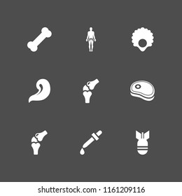 salt icon. 9 salt set with bones, bomb, meat and bone vector icons for web and mobile app