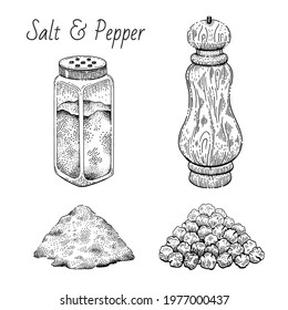 Salt pepper vector shaker illustration. Isolated black sketch icon with salt bottle and pepper mill. Food container hand drawn art. Vintage spice shaker. Glass and wood kitchen doodle cook drawing