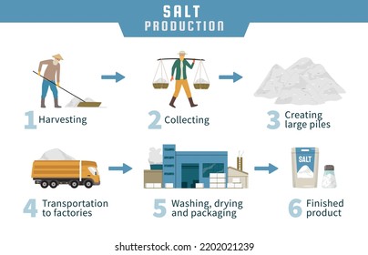 Salt Production Stages Flat Infographics Workers Stock Vector (Royalty ...