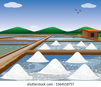 salt in saline field vector design