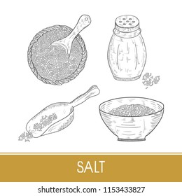 Salt. Solyanka, bowl, spoon. Sketch. Monochrome. Set.