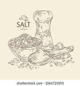 Salt: Spoon With Salt, Pink Himalaya Salt And Salt Shaker. Vector Hand Drawn Illustration.