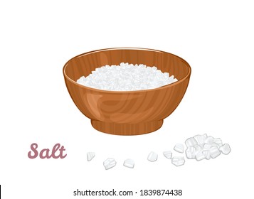 Salt in wooden bowl isolated on  white background. Vector illustration of spices in cartoon flat style.