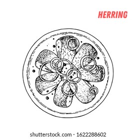 Salted pickled herrings seledka hand drawn illustration. Russian cuisine. Linear graphic. Food sketch. 