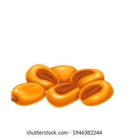 Salted roasted corn nuts snack vector illustration.