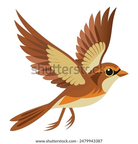 Saltmarsh Sparrow flying on white