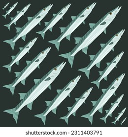 Saltwater barracuda flat vector illustration. Cute saltwater barracuda meat cartoon vector illustration for graphic design and decorative element