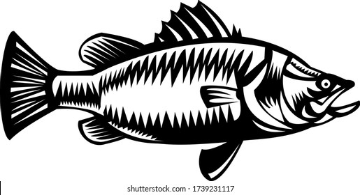Saltwater Barramundi Side View Woodcut Black and White