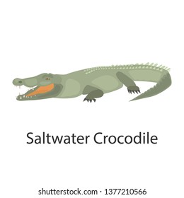 Saltwater crocodile color vector icon. Flat design