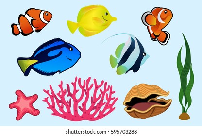 saltwater fish