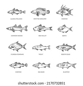 Saltwater fish set. Types marine and ocean fish