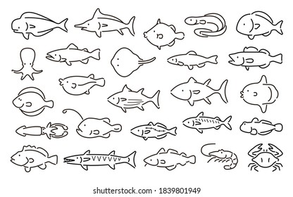 Saltwater fish vector set (Thin line Version)