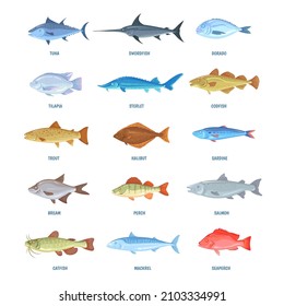 Saltwater river fishes. Cartoon sea ocean fish, sardine mackerel anchovy tuna halibut tilapia herring salmon bream, icons marine fishery, seafood info vector. Illustration of mackerel and sardine