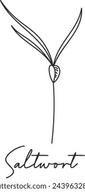 Saltwort Micro Greens Sketch Vector Illustration
