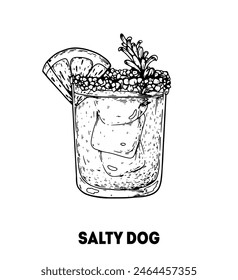 Salty dog cocktail illustration. Hand drawn sketch. Vector illustration. Isolated object.