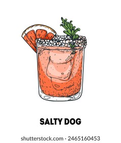 Salty dog cocktail illustration. Hand drawn sketch. Vector illustration. Isolated object.