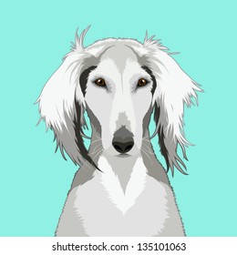 Saluki, The buddy dog