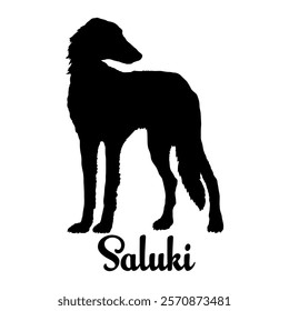 Saluki dog silhouette, dog breeds, logo, vector, silhouette,  animal, illustration, icon, sign, design, black, symbol, pet, love
