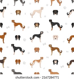 Saluki Feathered seamless pattern. Different poses, coat colors set.  Vector illustration