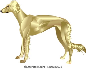 Saluki Hounf, Arab Desert Hunting Dog , Pet Animal - Vector Illustration