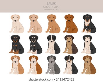 Saluki smooth coated puppies clipart. Different poses, coat colors set.  Vector illustration