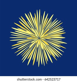 Salute, isolated on background night sky, vector illustration
