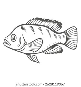 Salvini Cichlid Fish Vector Illustration