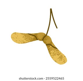 Samara seed helicopter. Winged leaf plant, whirligig, autumn decoration. Botanical design element, forest decor. Natural organic pods. Flat graphic vector illustration isolated on white background