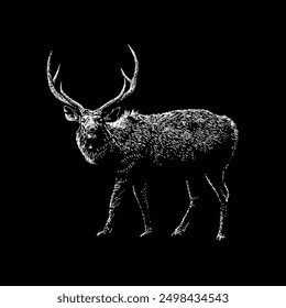 sambar deer hand drawing vector isolated on black background.