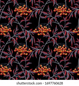 Sambucus. Black elderberry branch with berries and leaves on black background. Vector seamless pattern.
