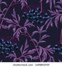 Sambucus. Black elderberry branch with berries and leaves on navy blue background. Vector seamless pattern.