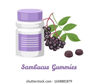 Sambucus Gummies in plastic bottle isolated on white background. Vector illustration of black elderberry branch in cartoon flat style. Antioxidant, dietary Supplement.