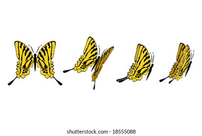 the same butterfly in four different sights (also available in raster format)