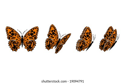 the same butterfly in four different sights (also available in raster format)