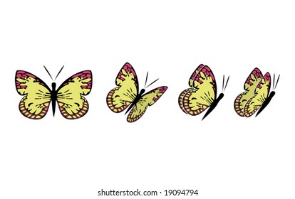 the same butterfly in four different sights (also available in raster format)
