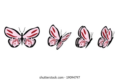 the same butterfly in four different sights (also available in raster format)