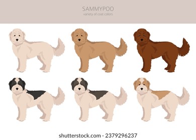 Sammypoo clipart. Samoyed dog Poodle mix. Different coat colors set.  Vector illustration