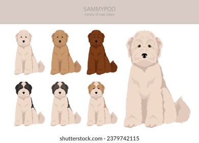 Sammypoo clipart. Samoyed dog Poodle mix. Different coat colors set.  Vector illustration