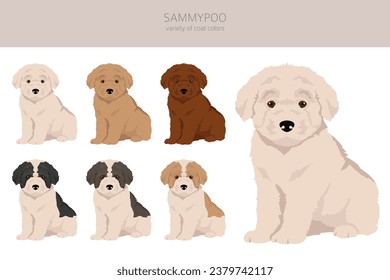 Sammypoo clipart. Samoyed dog Poodle mix. Different coat colors set.  Vector illustration