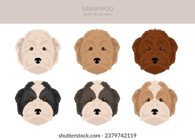 Sammypoo clipart. Samoyed dog Poodle mix. Different coat colors set.  Vector illustration