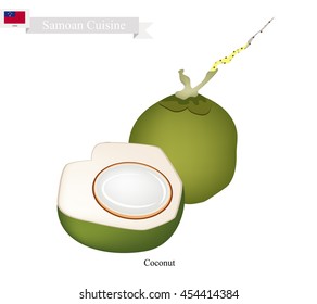 Samoa Fruit, Fresh Coconut. One of The Most Popular Fruits in Samoa.