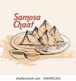 Samosa Chaat Vector Illustration. Hand Drawn Indian Food.