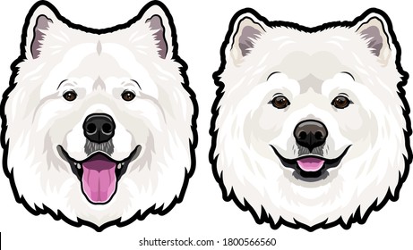 Samoyed dog animal cute face full color vector illustration