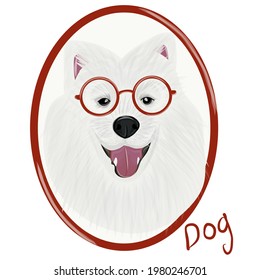 Samoyed dog animal cute face full color vector illustration. Digital vector samoyed dog portrait