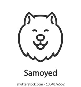 Samoyed, Dog breed, linear icon. Editable stroke